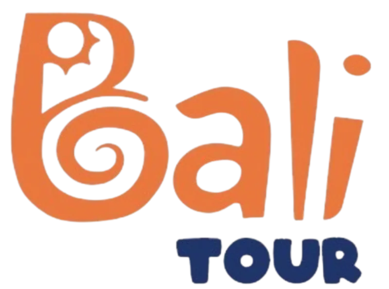 Partner network